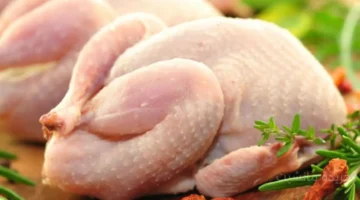 تطور جديد.. أسعار الفراخ البيضاء اليوم الأحد تخالف التوقعات في بورصة الدواجن 1